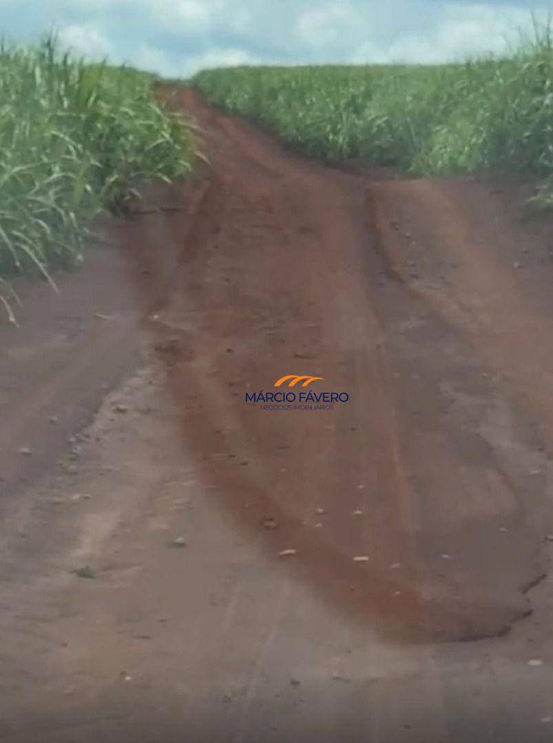 Fazenda, 1946 hectares - Foto 4