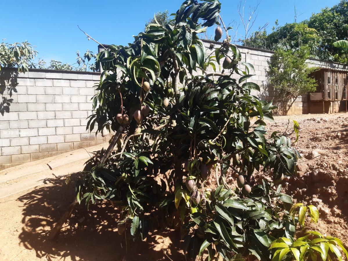 Sítio à venda com 2 quartos, 1000m² - Foto 6