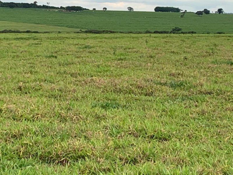 Fazenda à venda, 1007m² - Foto 18