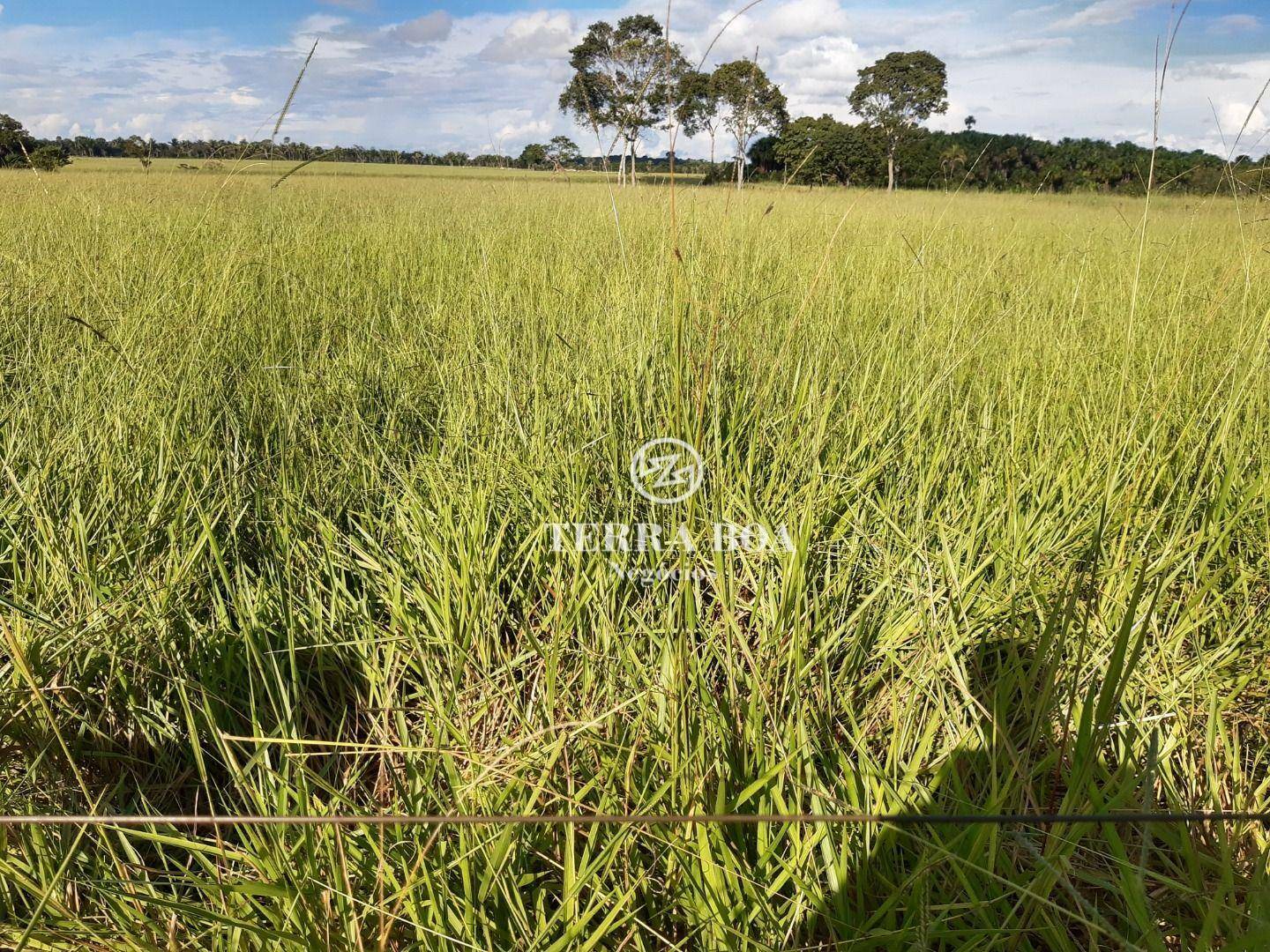 Fazenda à venda, 16000000M2 - Foto 19