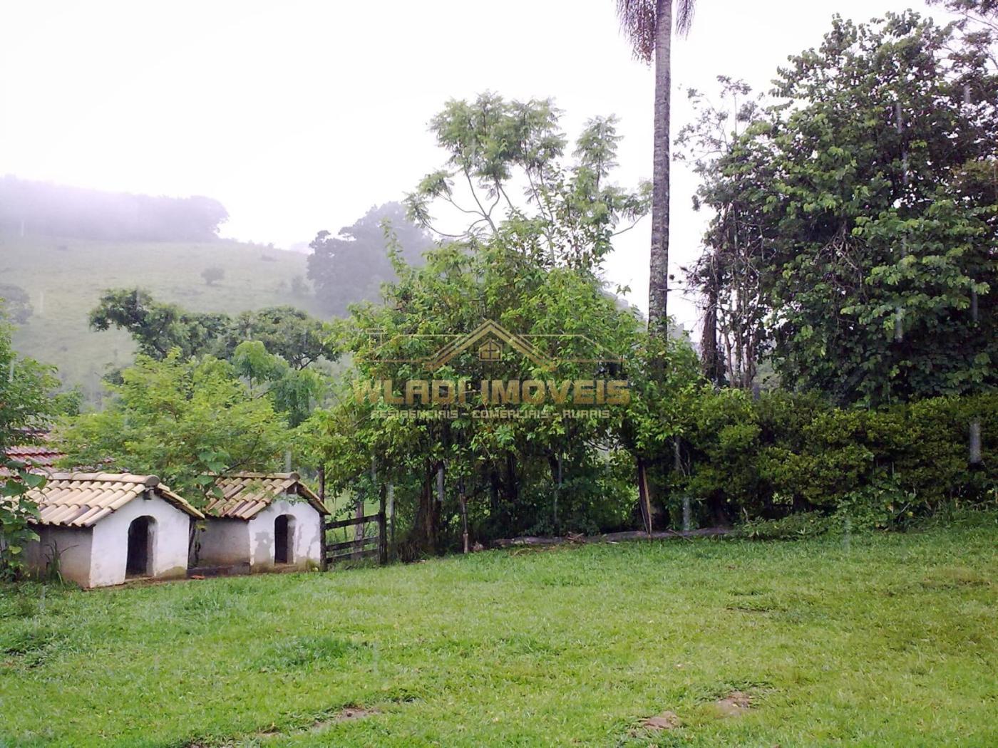 Fazenda à venda com 4 quartos, 45600m² - Foto 18