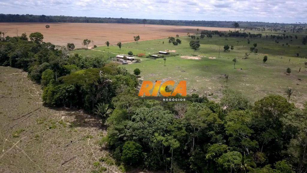 Fazenda à venda com 4 quartos, 1400000M2 - Foto 29