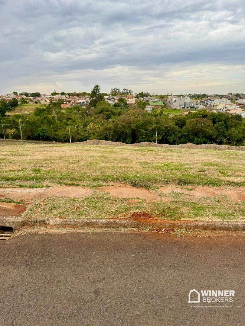 Terreno, 3 hectares - Foto 3