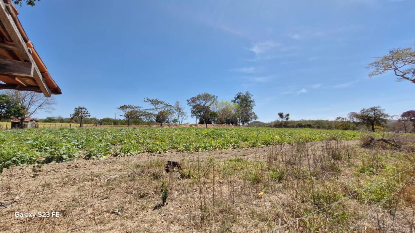 Fazenda à venda com 4 quartos, 1180000m² - Foto 9