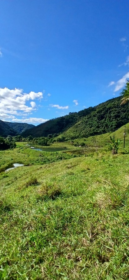 Fazenda à venda com 4 quartos, 257m² - Foto 6
