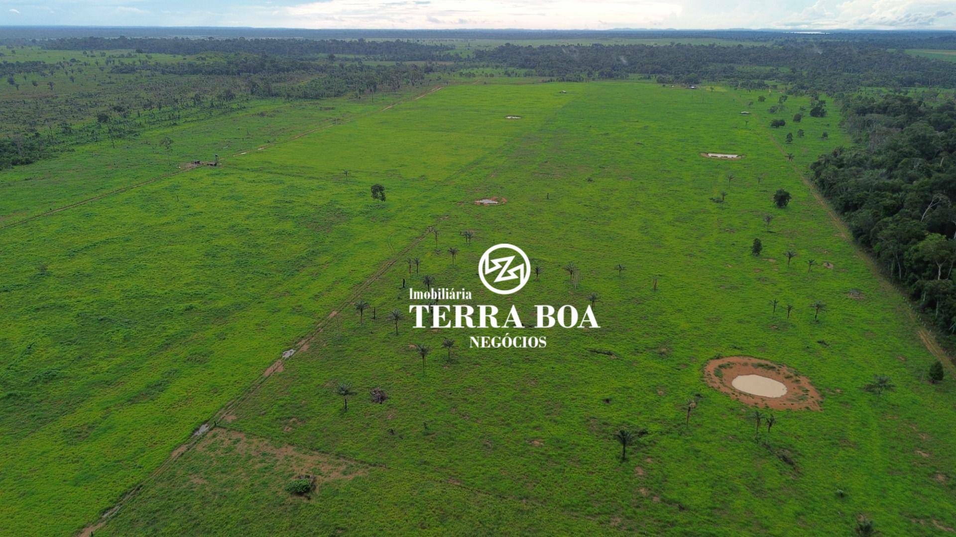 Sítio, 73 hectares - Foto 5