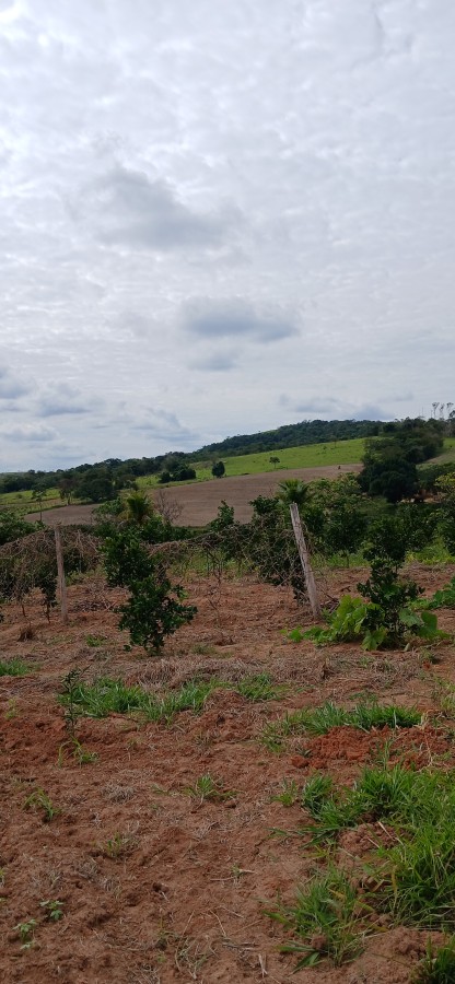 Sítio à venda com 3 quartos, 67000m² - Foto 16