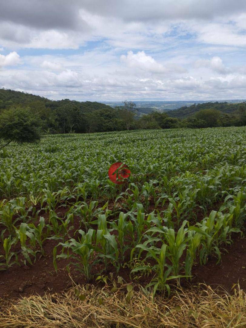 Fazenda à venda, 193600M2 - Foto 1