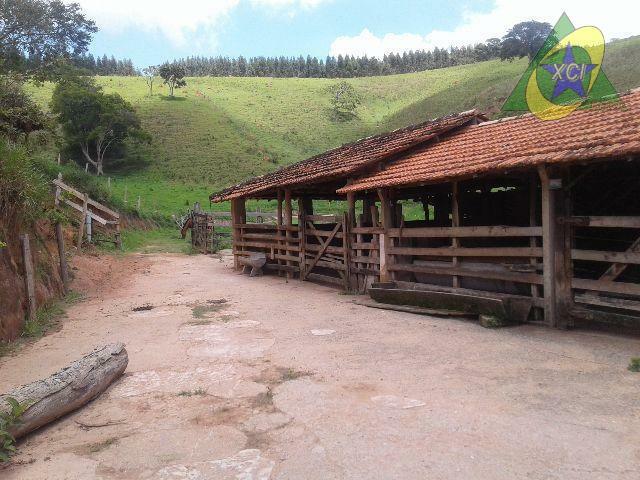 Fazenda à venda, 240000M2 - Foto 8