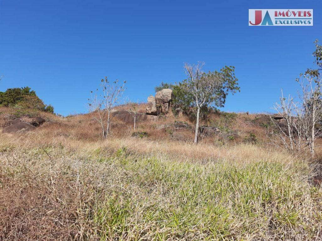 Sítio à venda com 1 quarto, 24500M2 - Foto 10
