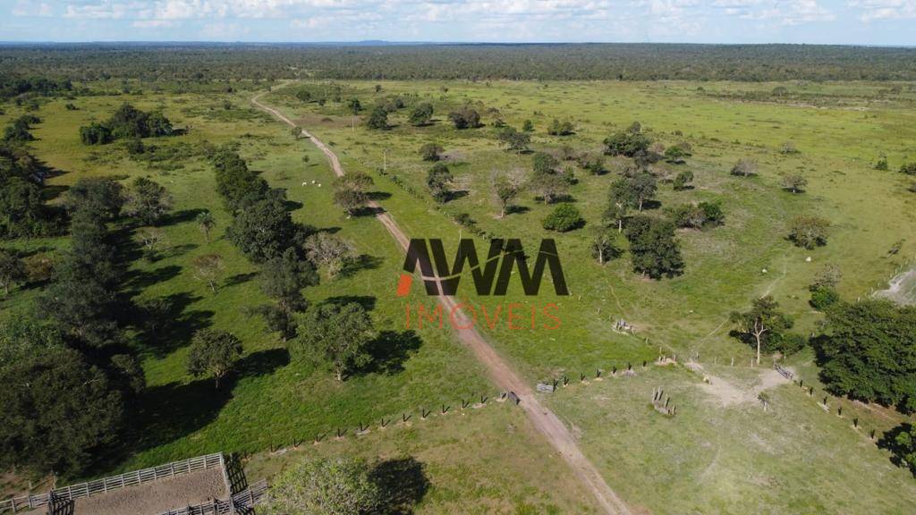 Fazenda-Sítio-Chácara, 765 hectares - Foto 1