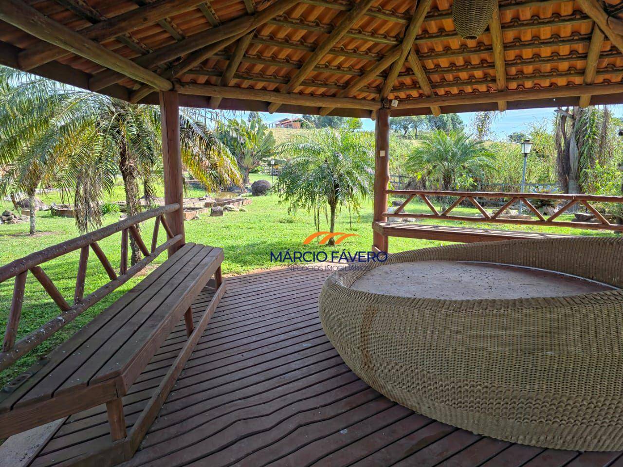 Sítio, 29 hectares - Foto 3