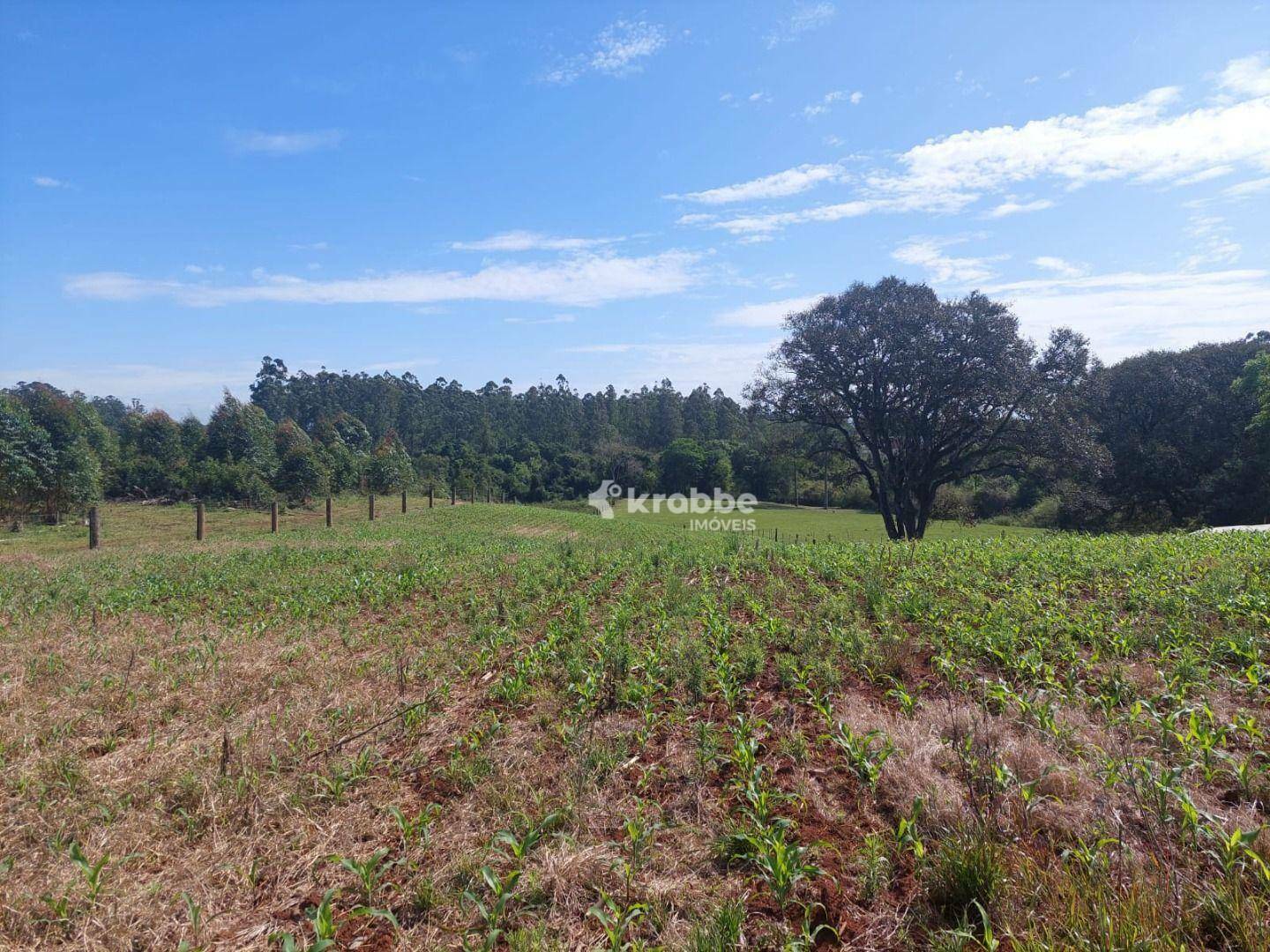 Terreno à venda, 8410M2 - Foto 1