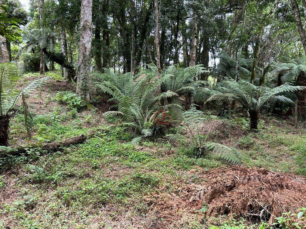 Loteamento e Condomínio à venda, 800M2 - Foto 10