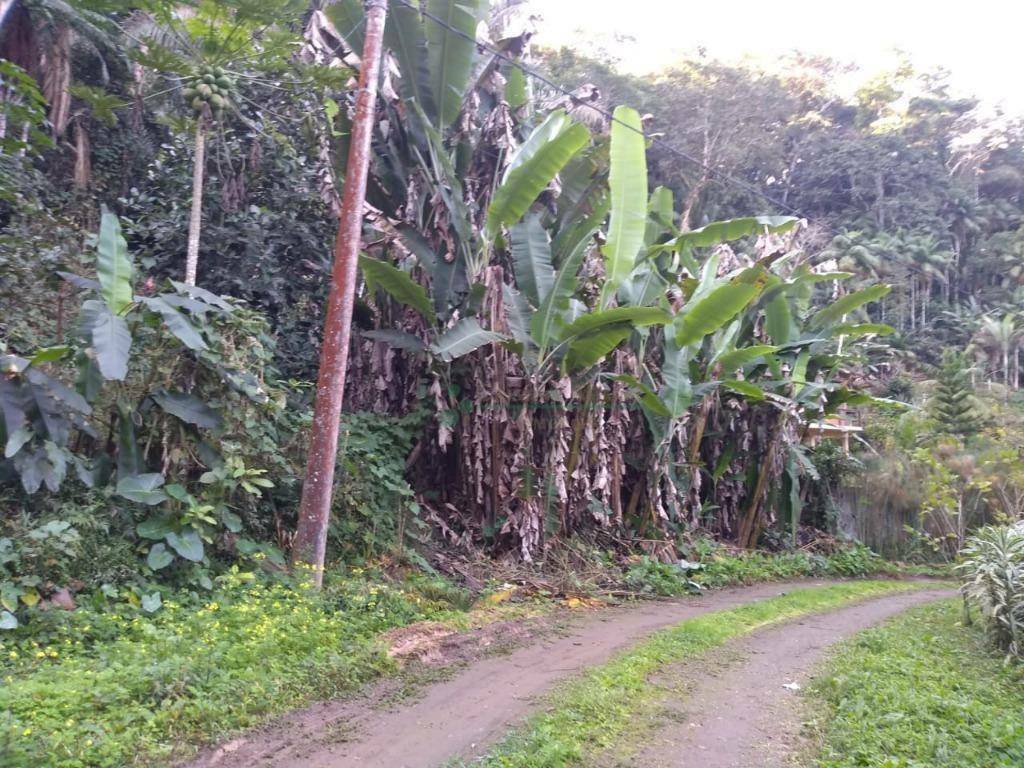 Terreno à venda, 3880M2 - Foto 3