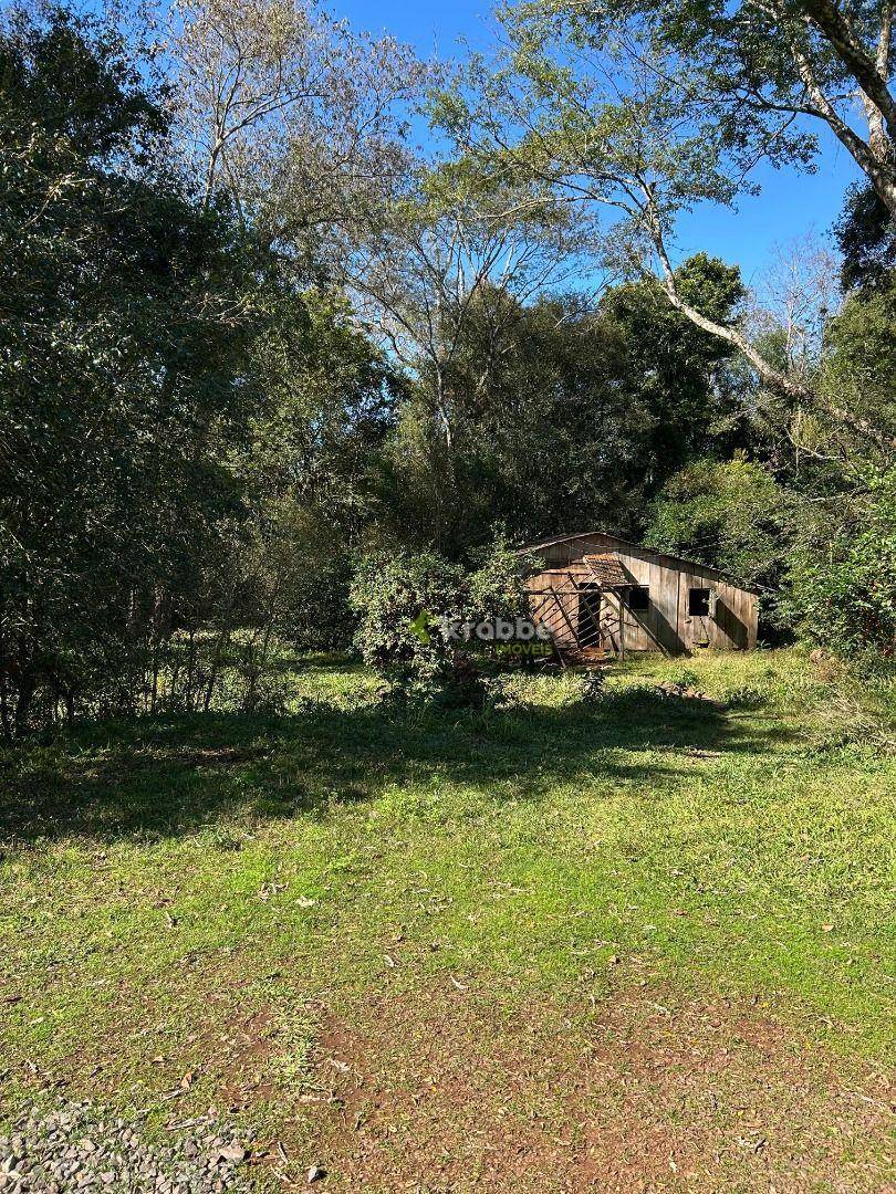 Chácara à venda com 3 quartos, 178m² - Foto 6