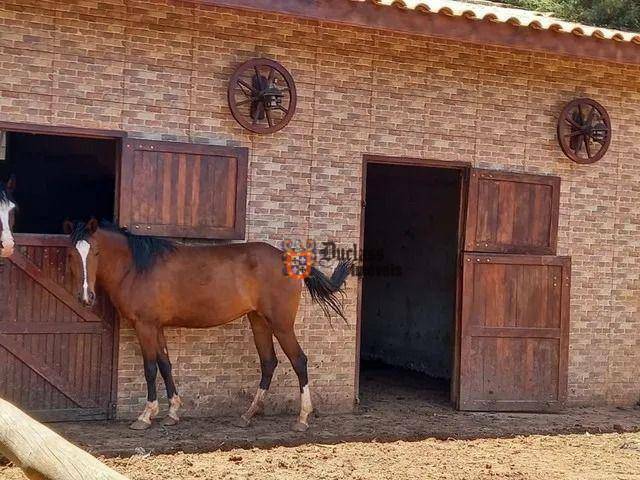 Chácara à venda com 4 quartos, 5664M2 - Foto 6