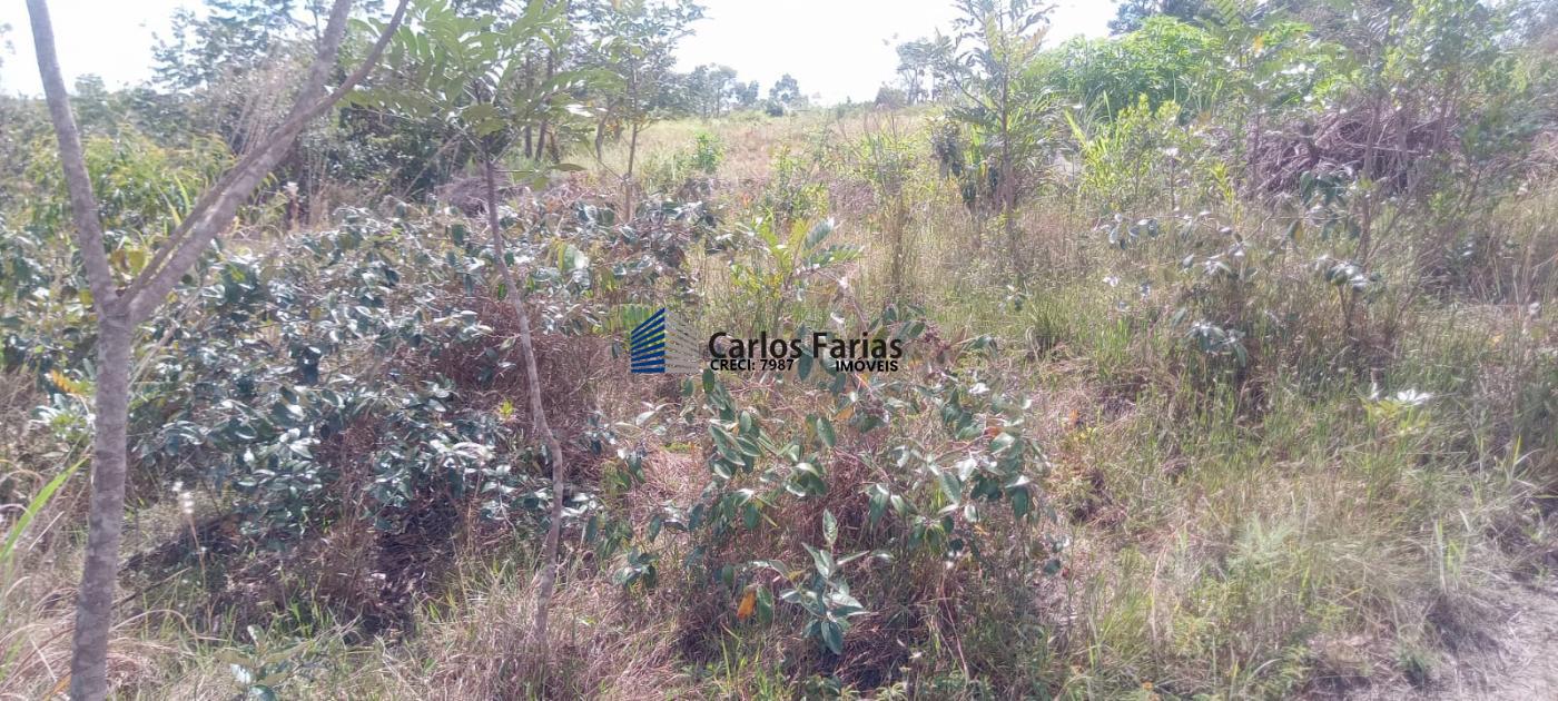 Chácara à venda, 20000m² - Foto 20