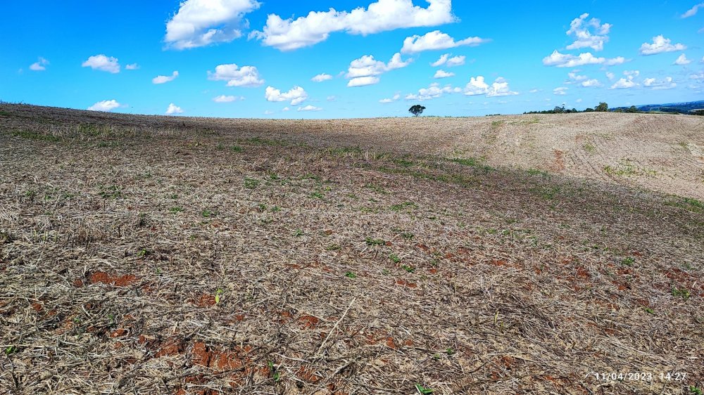 Fazenda à venda, 9m² - Foto 4