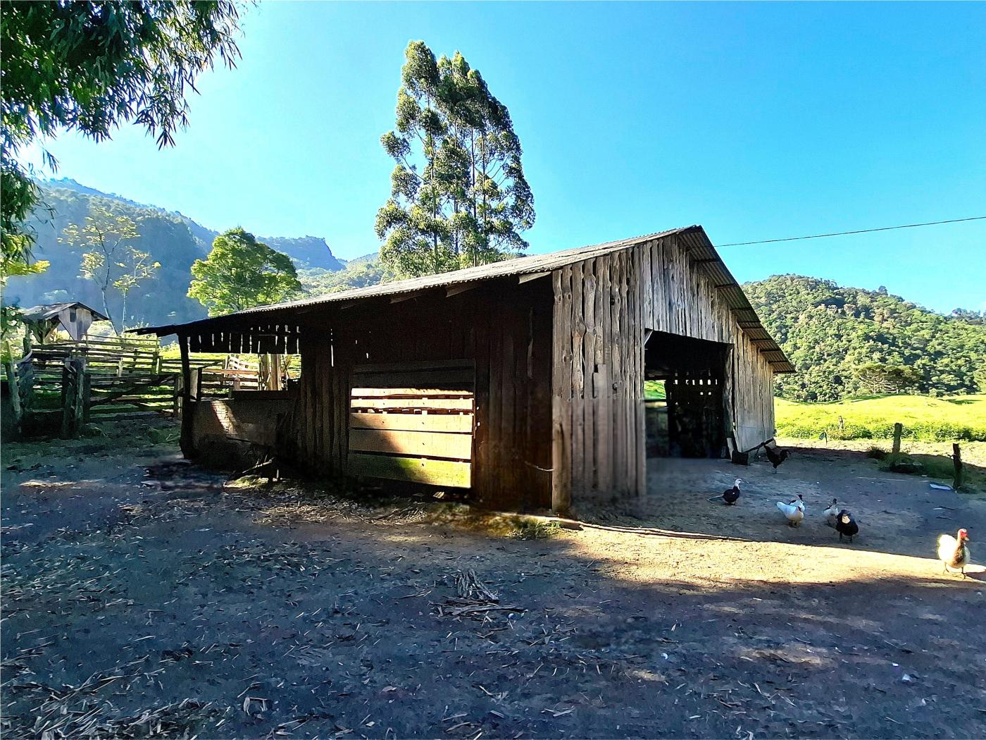 Fazenda à venda com 3 quartos, 90000m² - Foto 22