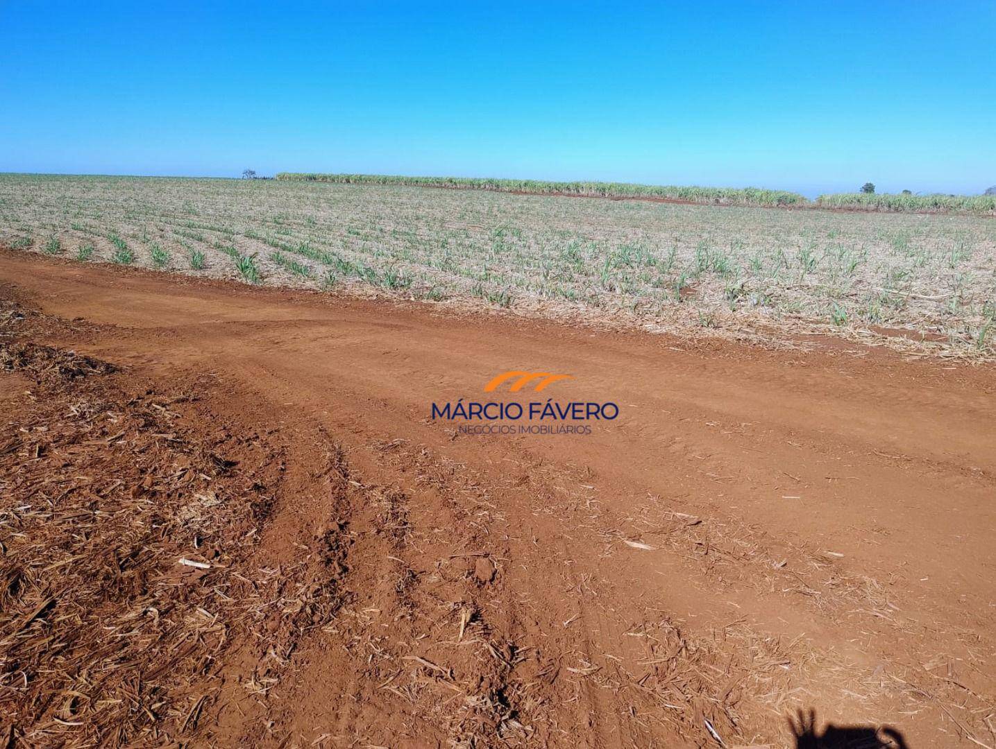 Fazenda-Sítio-Chácara, 298 hectares - Foto 24