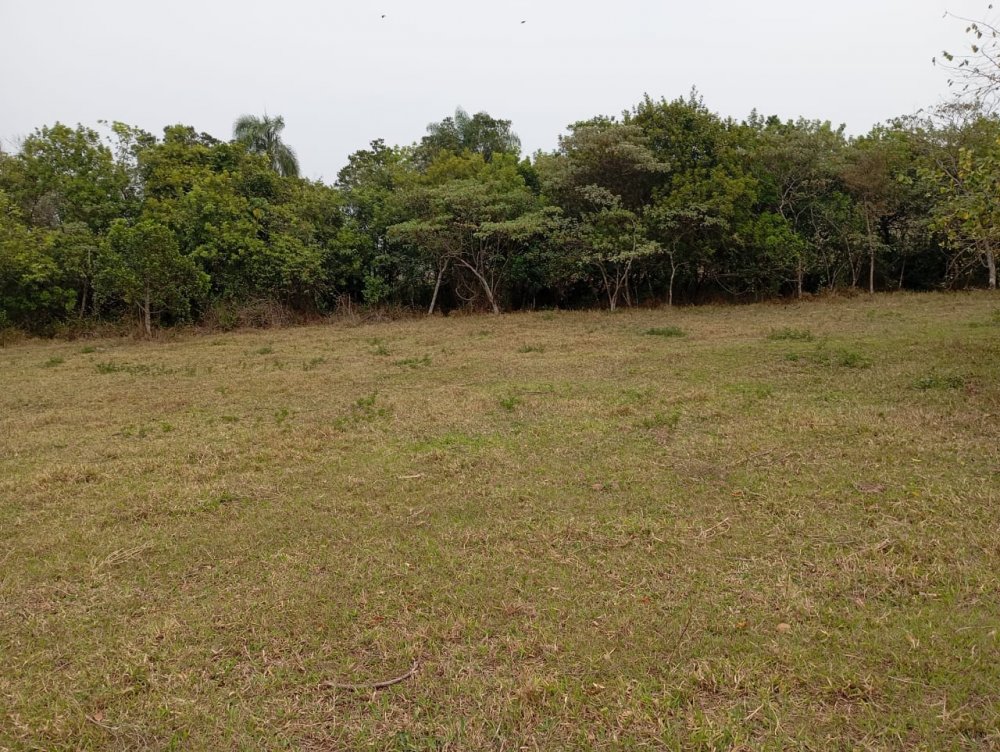 Chácara, 2 hectares - Foto 2