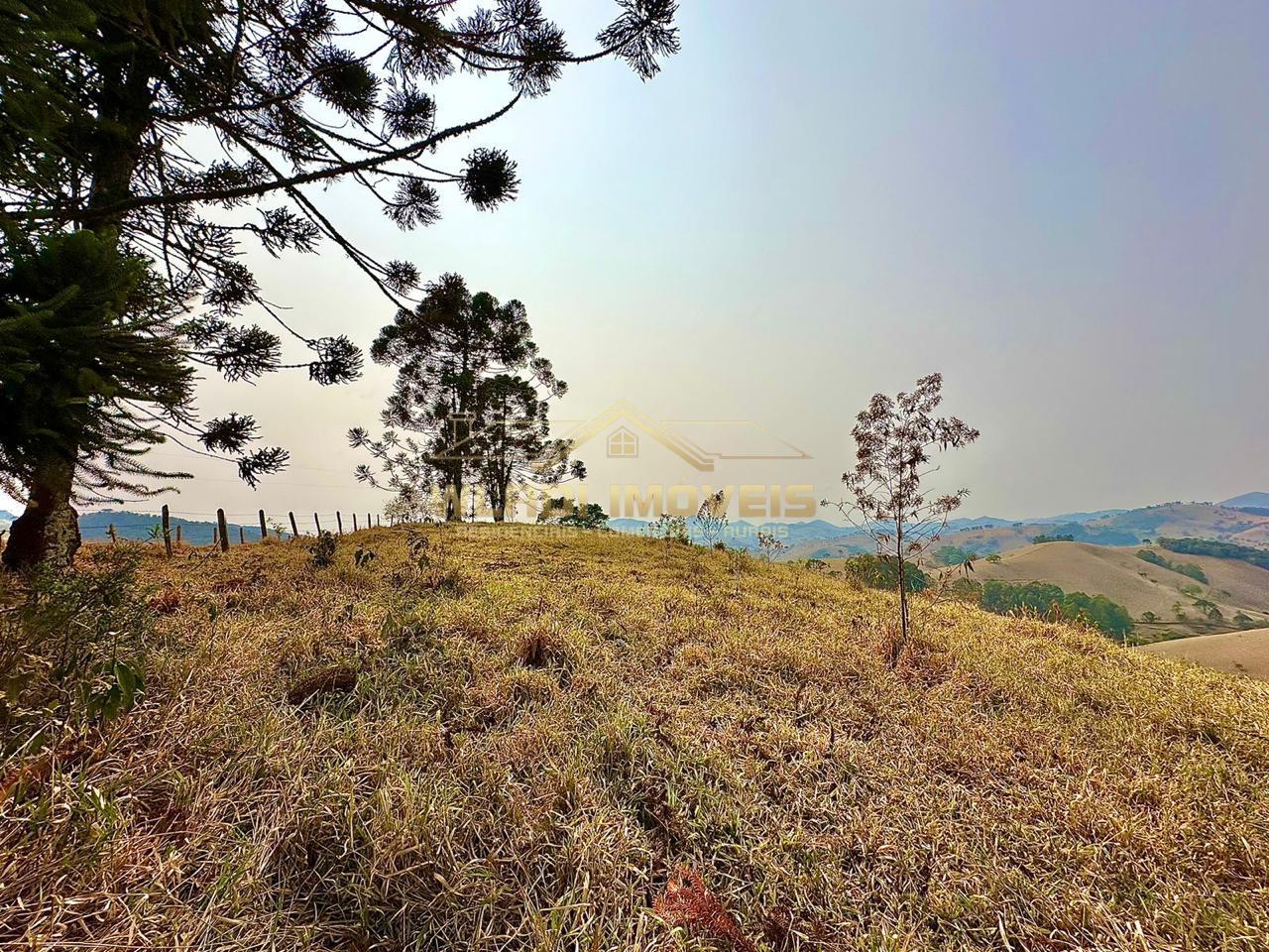 Terreno à venda, 20000m² - Foto 6