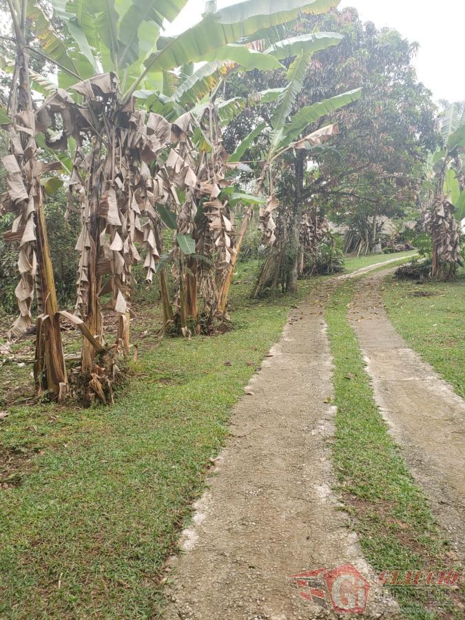 Terreno à venda, 3500m² - Foto 3