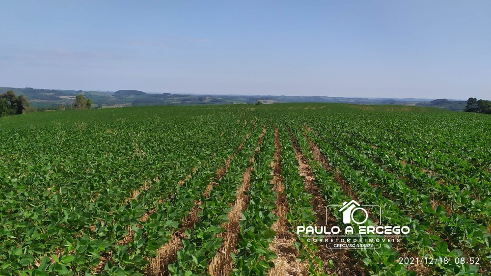 Fazenda à venda, 181m² - Foto 7