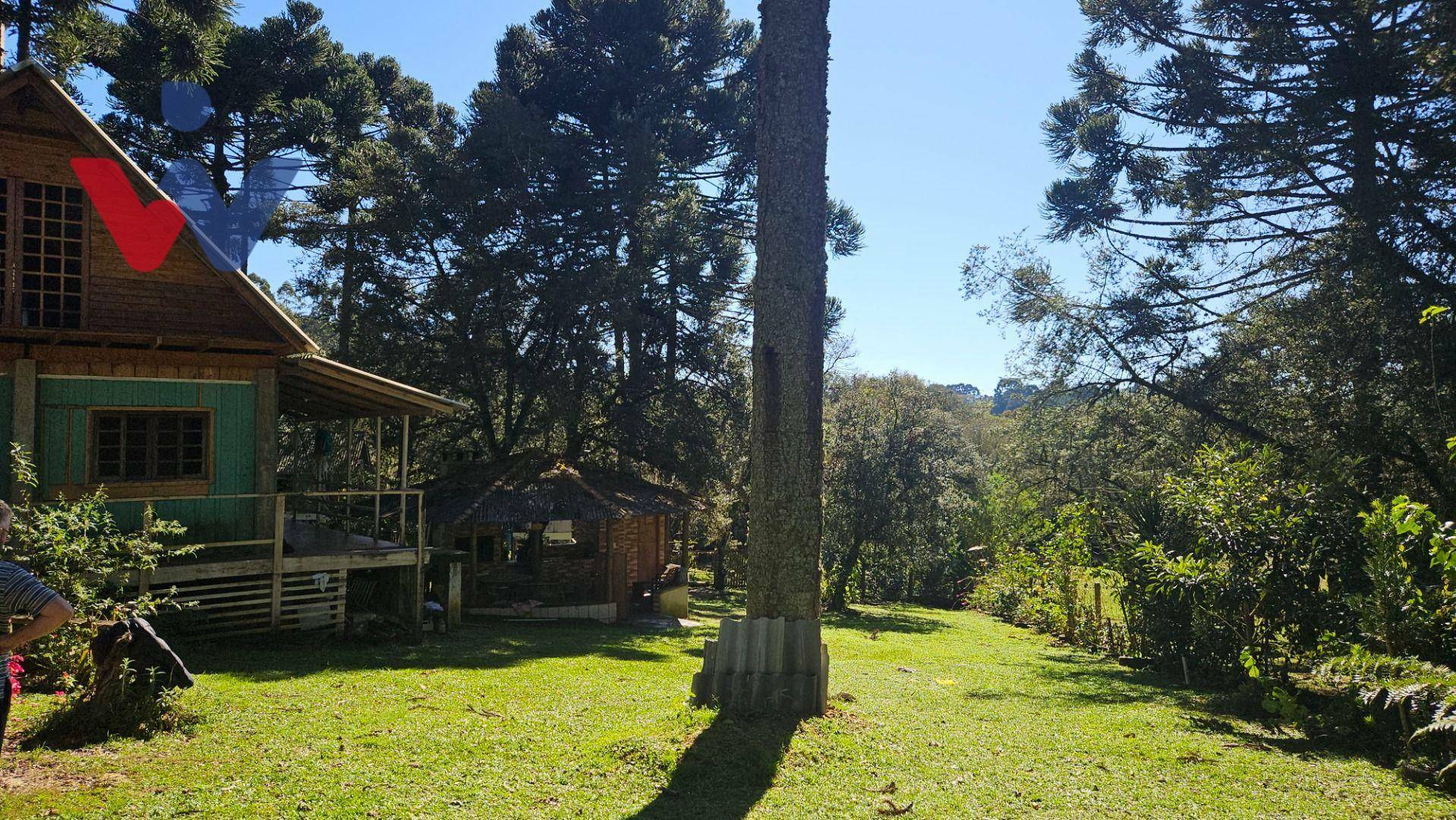 Chácara à venda com 4 quartos, 3700M2 - Foto 4