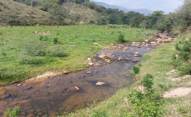 Fazenda à venda com 3 quartos, 290000m² - Foto 25