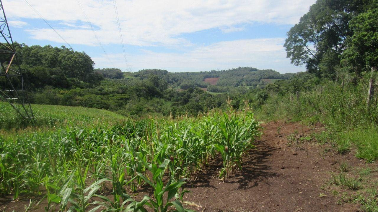 Loteamento e Condomínio à venda, 120000m² - Foto 19