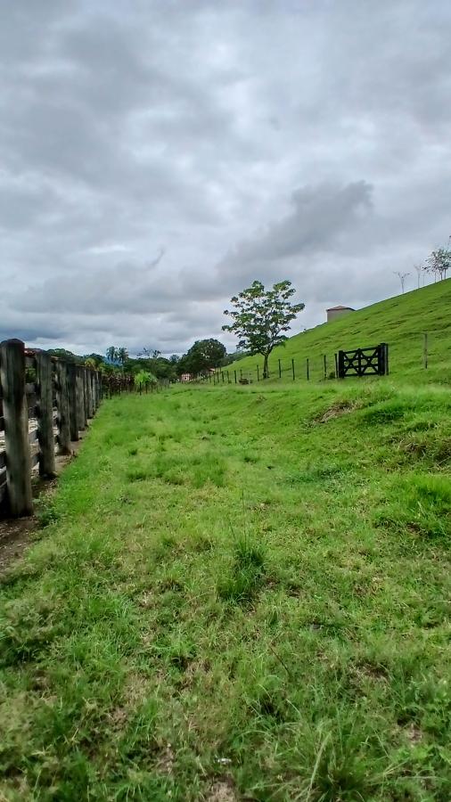 Fazenda à venda com 4 quartos, 19m² - Foto 18