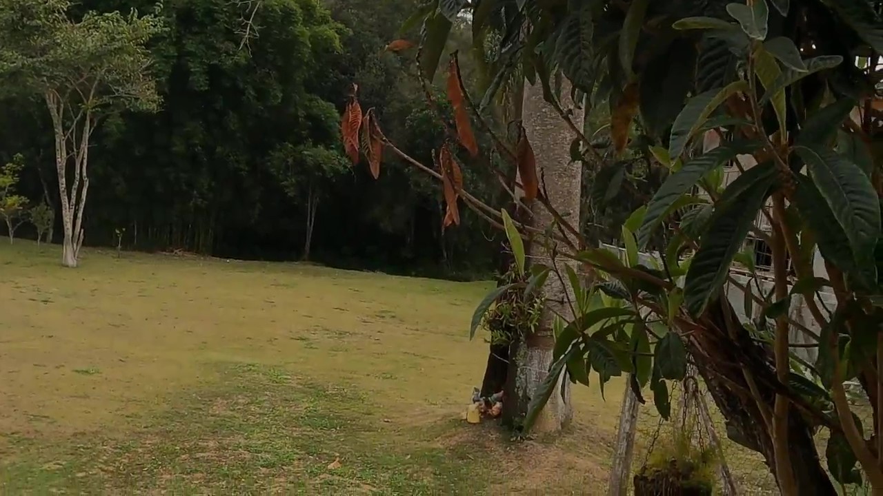 Chácara à venda com 1 quarto, 1200m² - Foto 4