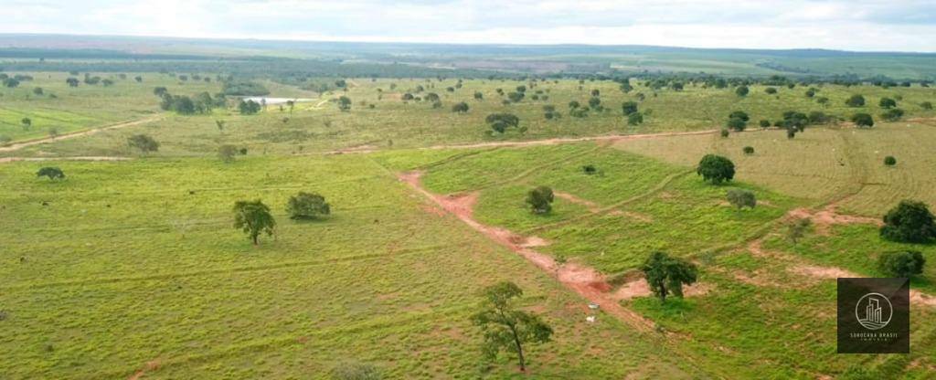 Fazenda à venda, 47720000M2 - Foto 7