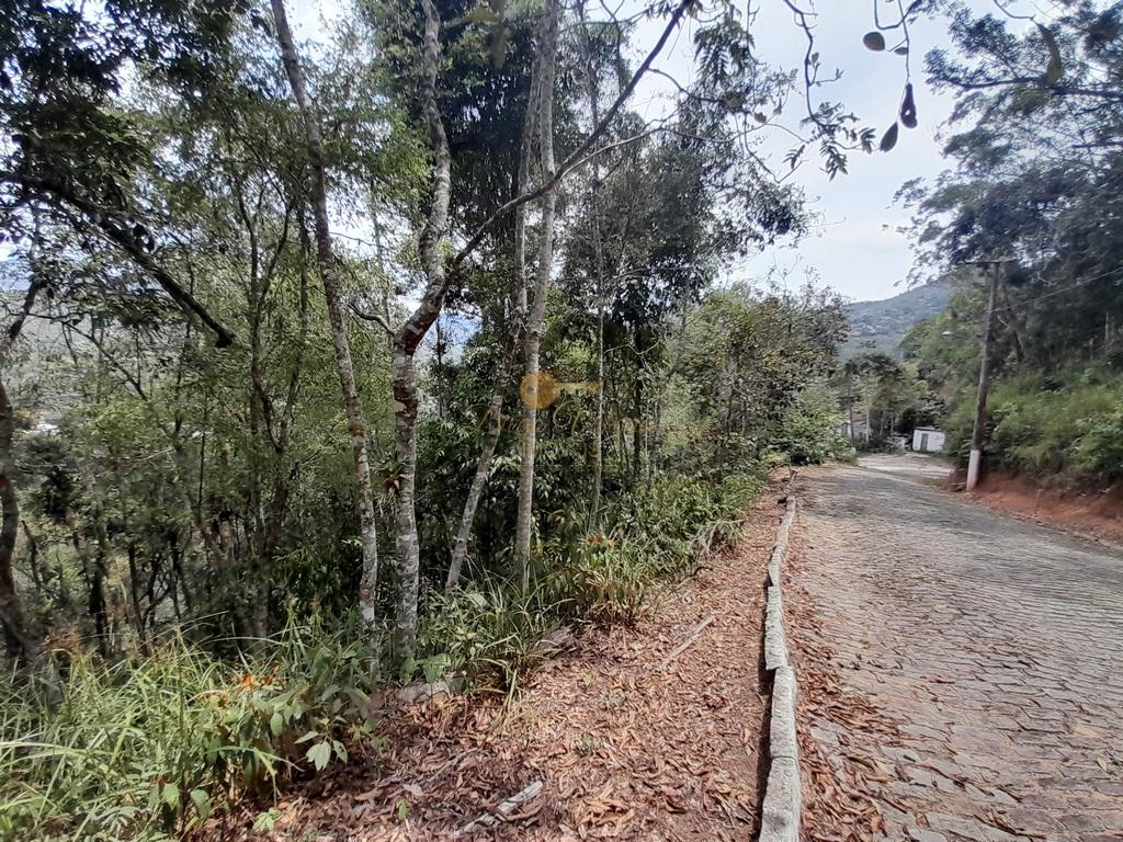 Terreno à venda, 1140m² - Foto 4