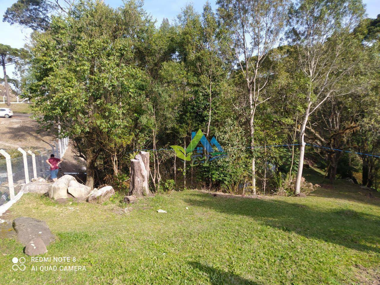 Chácara, 3 quartos, 1 hectares - Foto 4