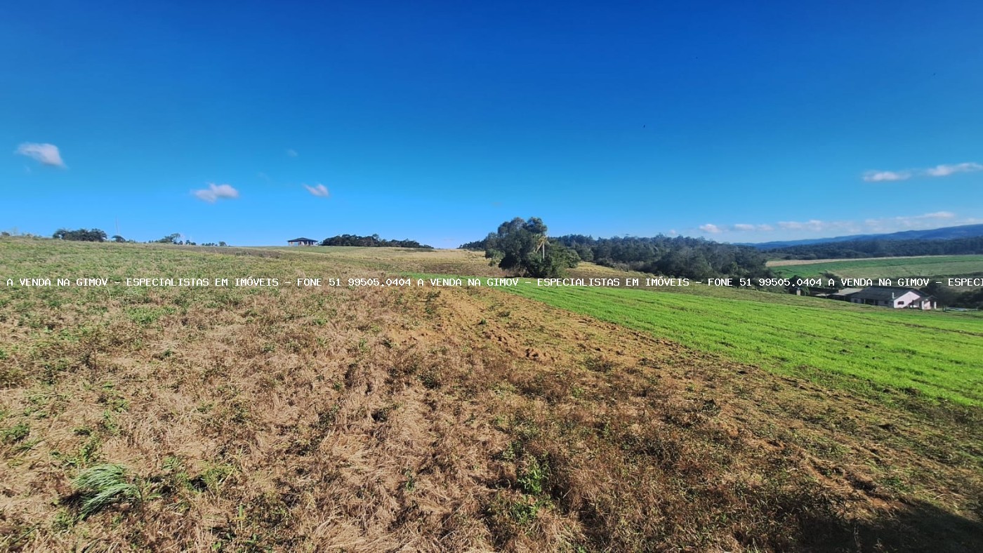 Sítio à venda com 4 quartos, 46500m² - Foto 28