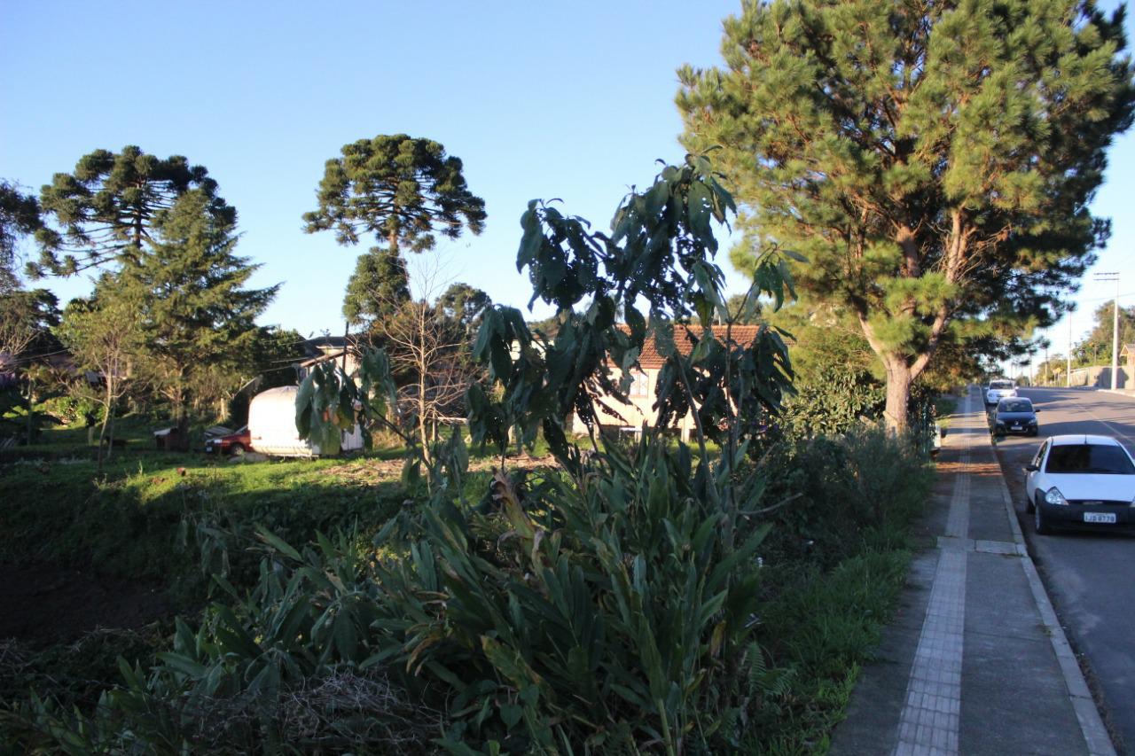 Terreno à venda, 4016m² - Foto 7