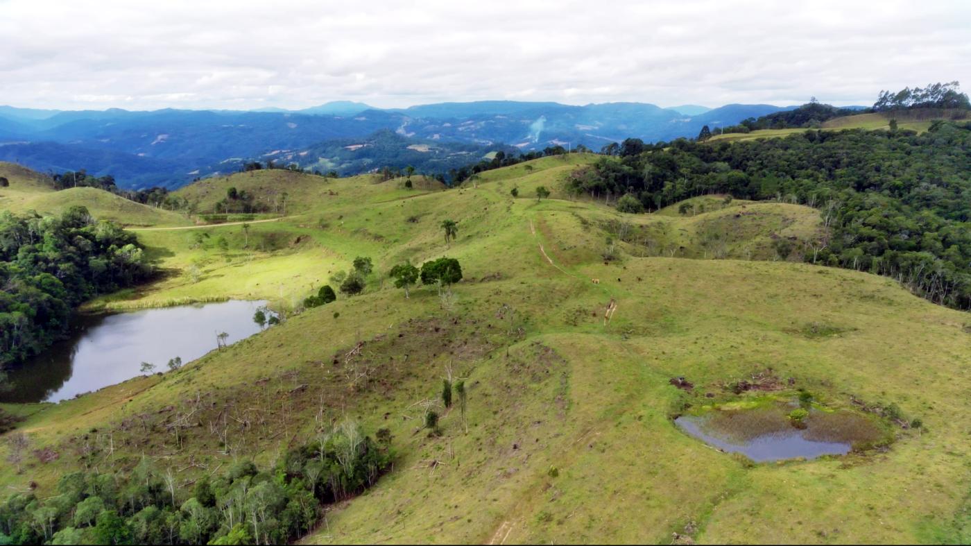 Fazenda à venda com 2 quartos, 862000m² - Foto 20