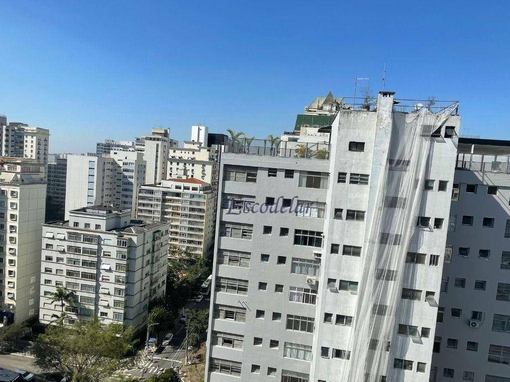 Apartamento à venda com 3 quartos, 230m² - Foto 29