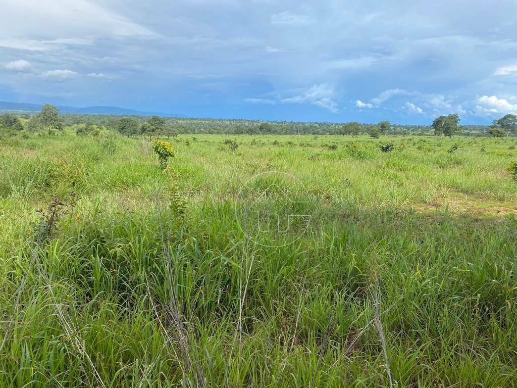 Fazenda à venda, 4840000M2 - Foto 5