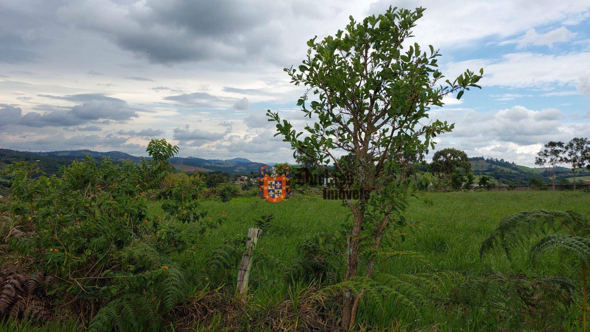 Terreno à venda, 60000M2 - Foto 13