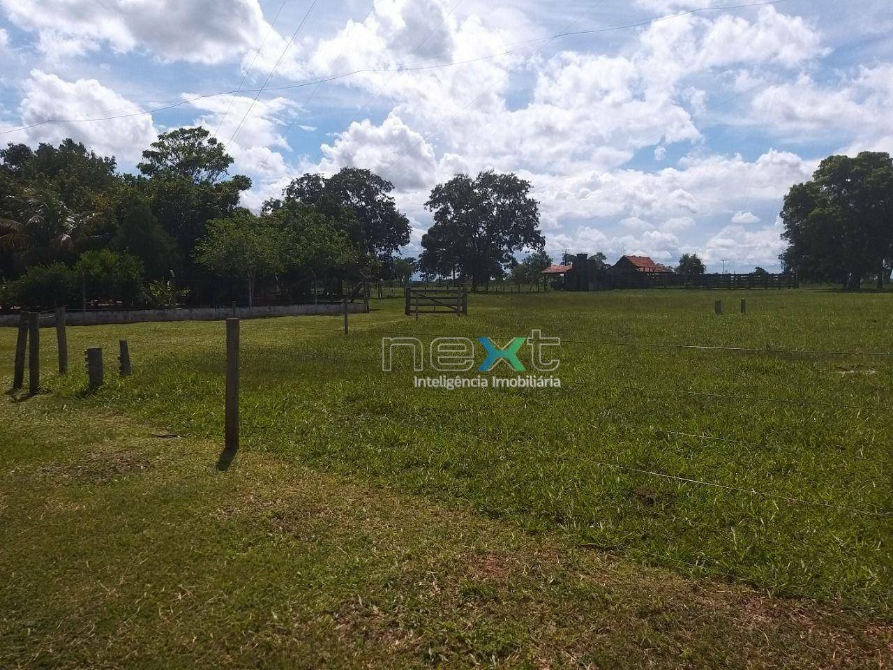 Fazenda à venda com 4 quartos, 430000M2 - Foto 14