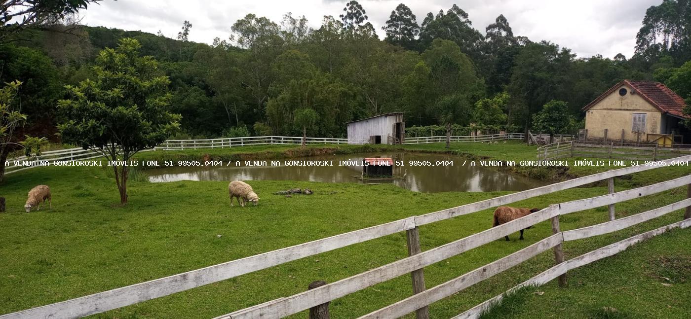 Fazenda à venda com 4 quartos, 130000m² - Foto 30