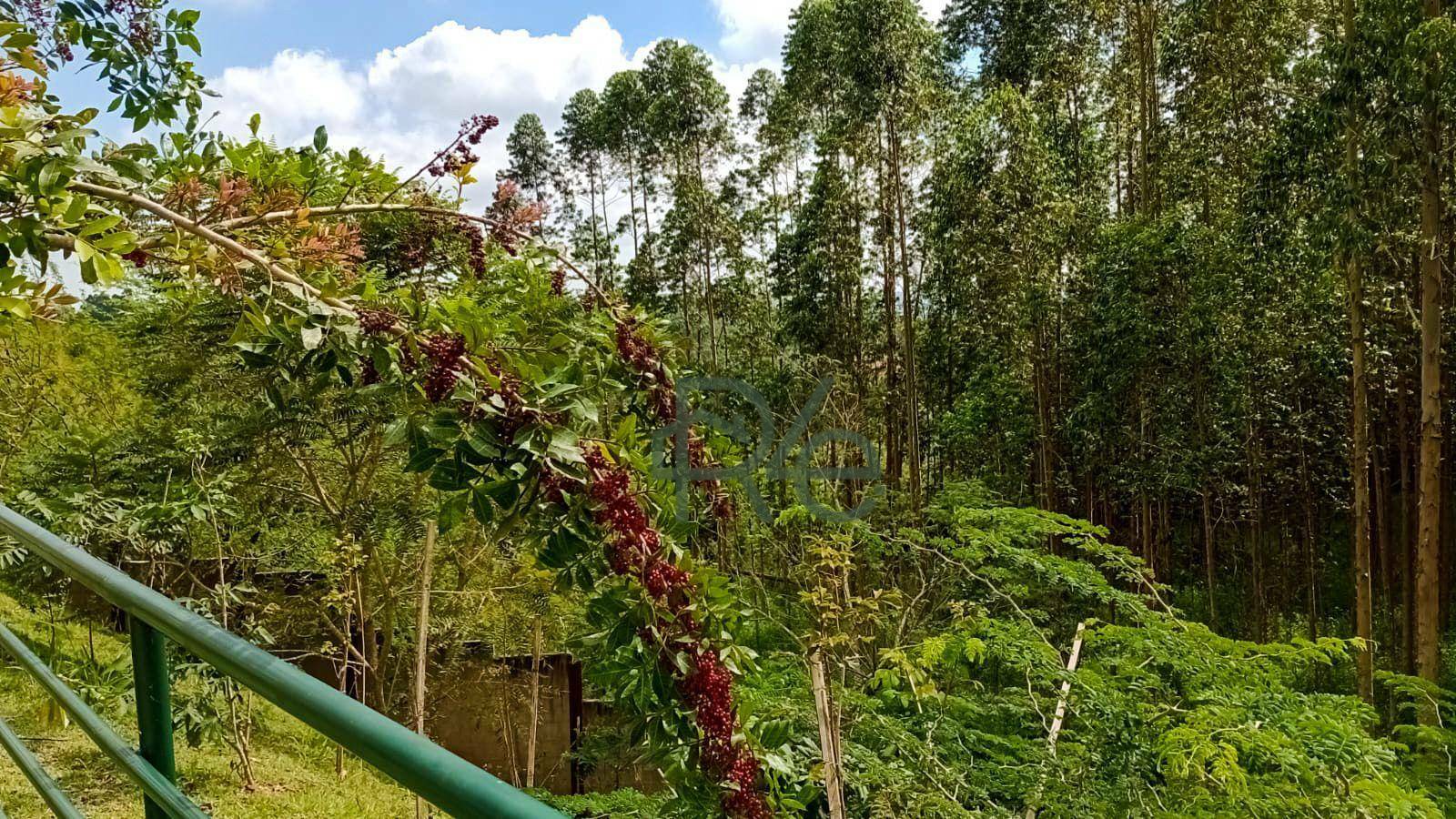 Casa de Condomínio à venda com 2 quartos, 48m² - Foto 4