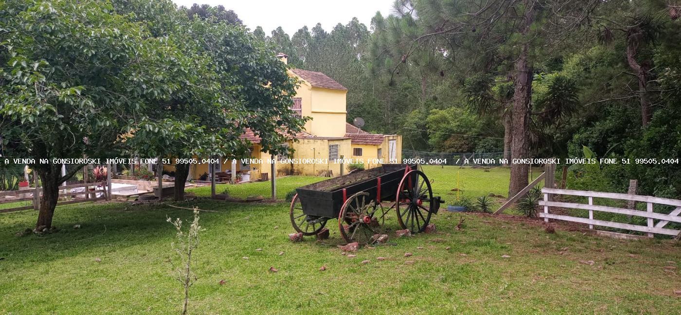 Fazenda à venda com 4 quartos, 130000m² - Foto 22