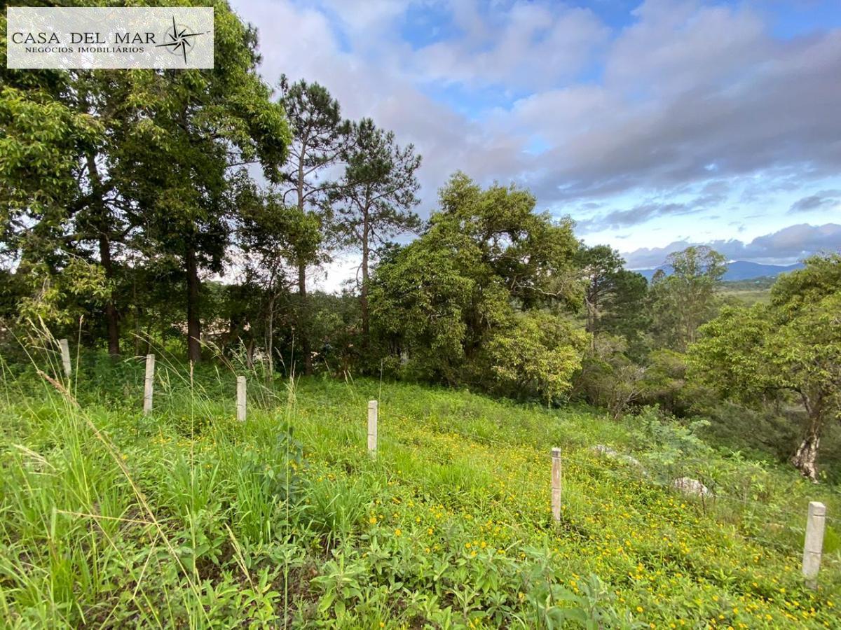 Terreno à venda, 16875m² - Foto 8