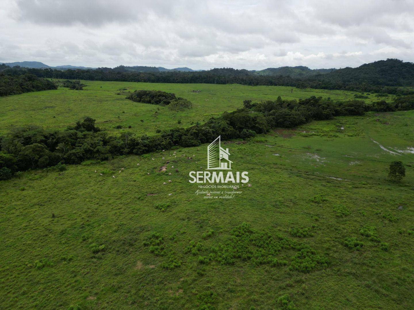 Fazenda à venda, 5445000M2 - Foto 9