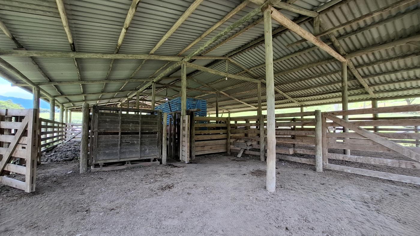 Sítio à venda com 5 quartos, 230000m² - Foto 29